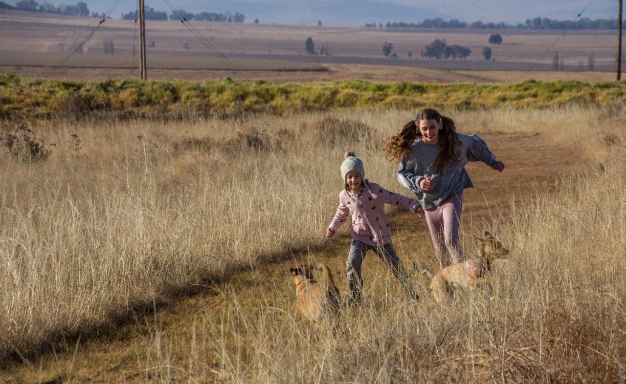 Amohela Ho Spitskop Country Retreat & Conservancy Ficksburg Eksteriør bilde